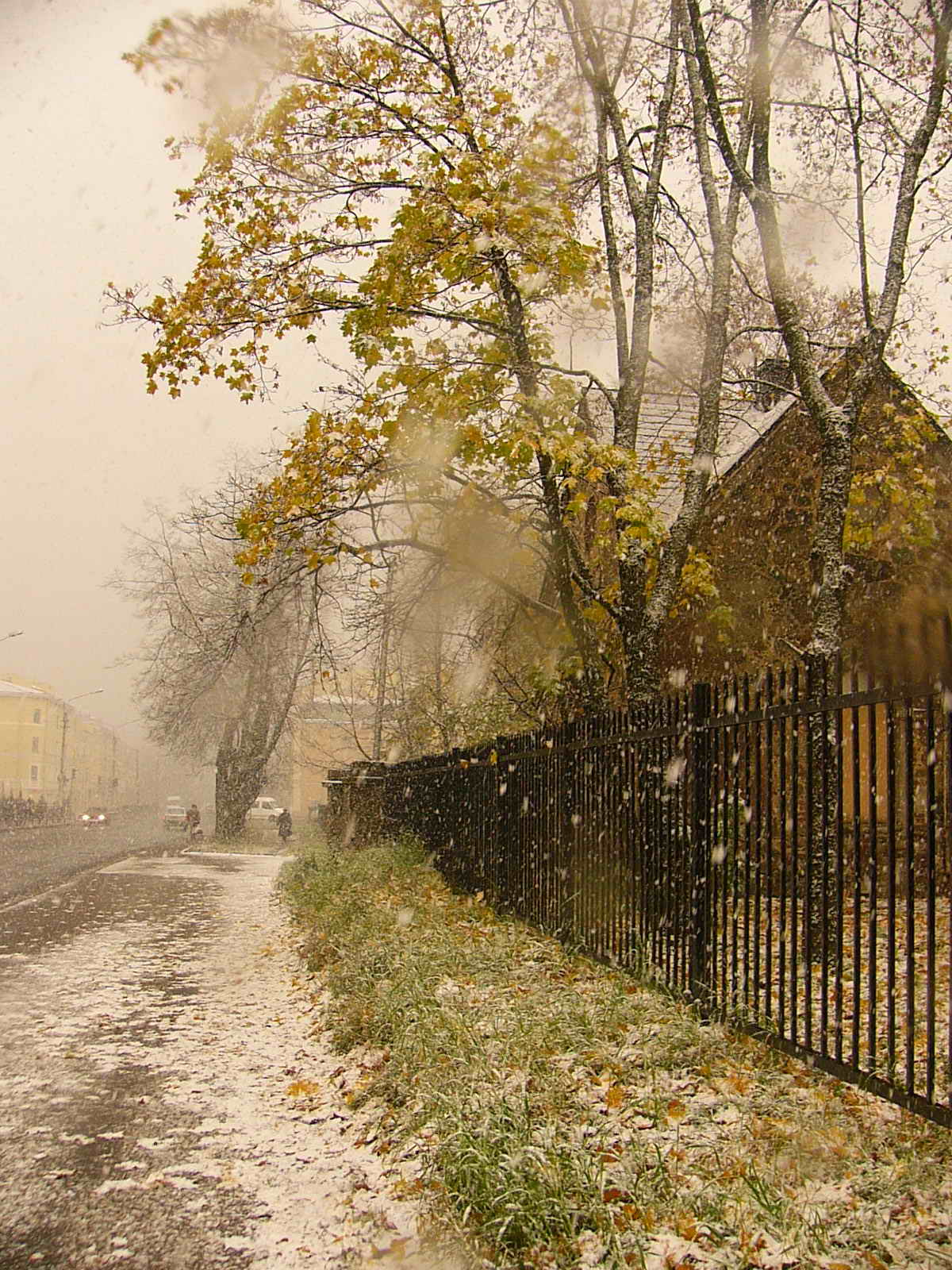 Первый снег