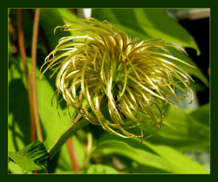 Утром после бурной ночи