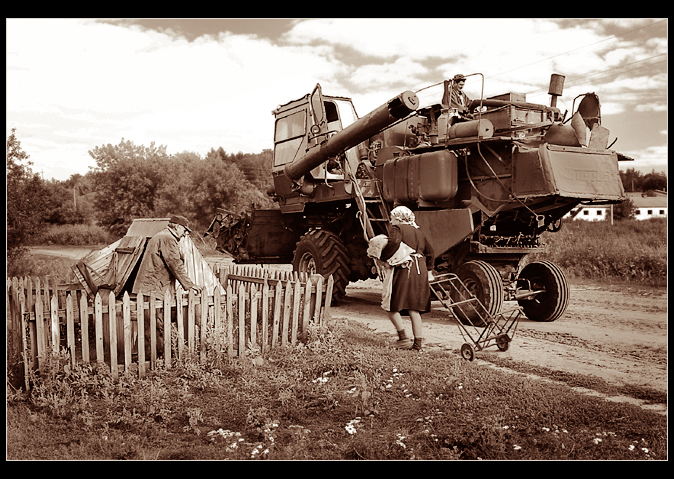 В поле... (ч/б)