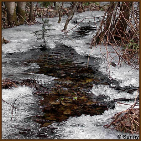Весна воды 2