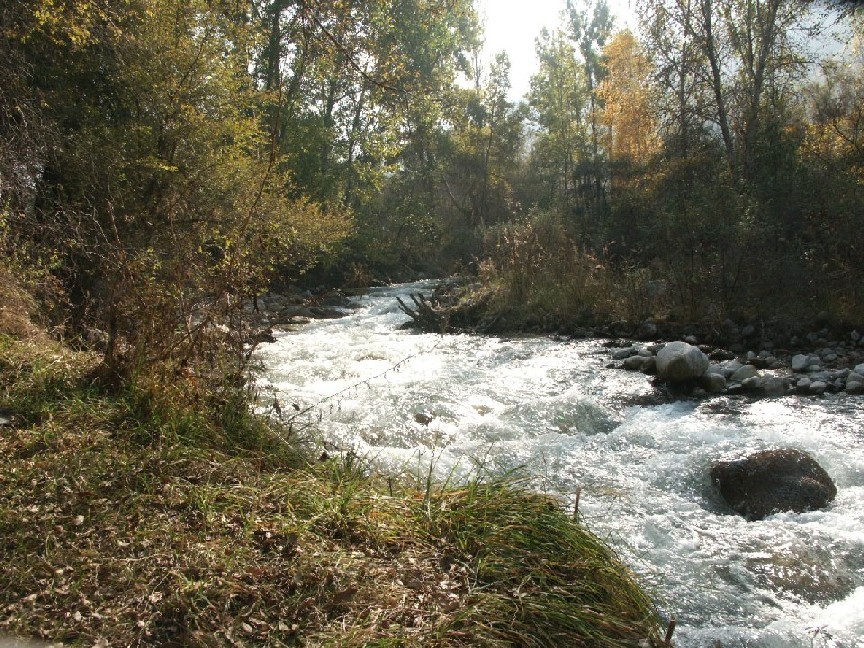 Осенняя речка 2