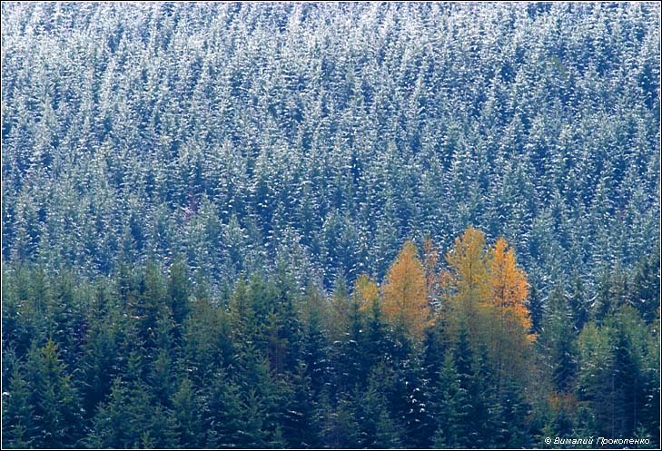 На границе времен года (осень-зима)