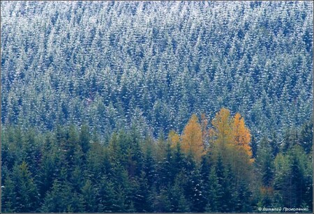 На границе времен года (осень-зима)