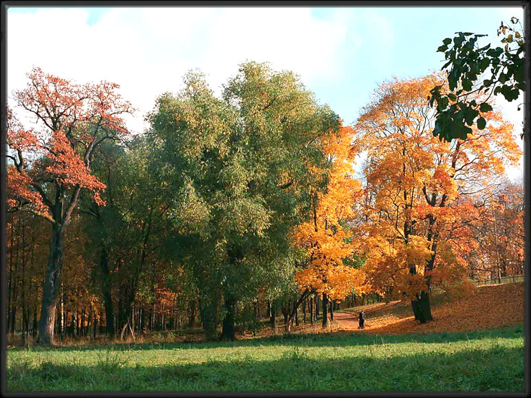 Осенняя палитра.