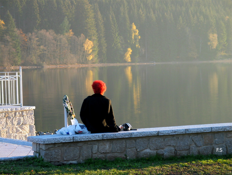 Краски осени
