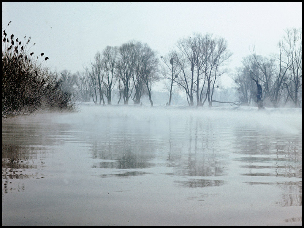 До весны.