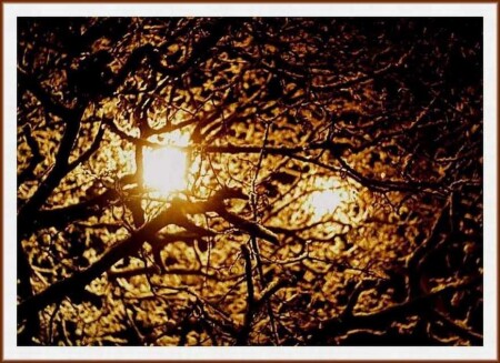 Желтые глаза города