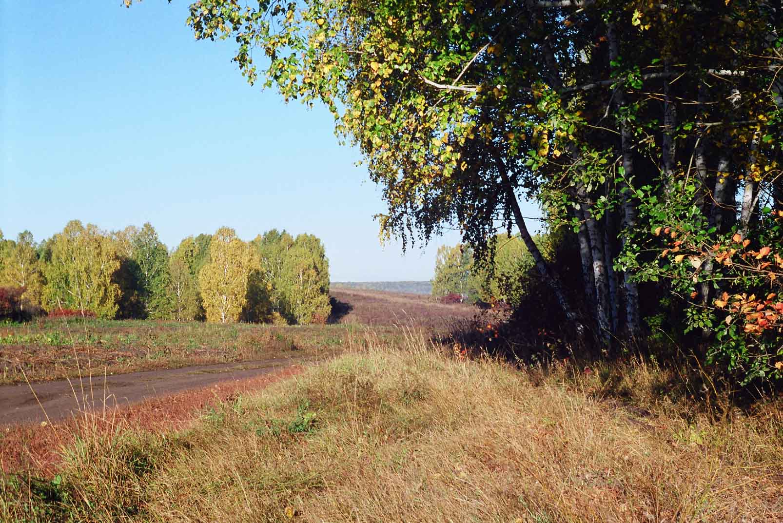 сентябрь