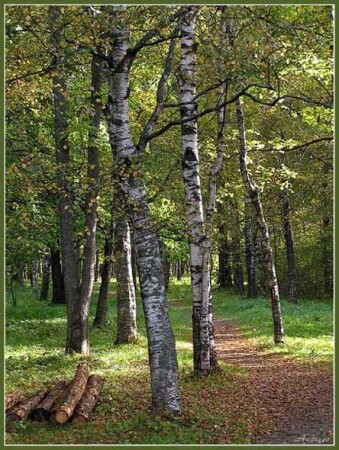 Немножко сентября.