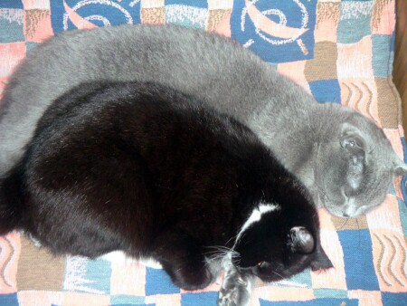 Спящее царство...