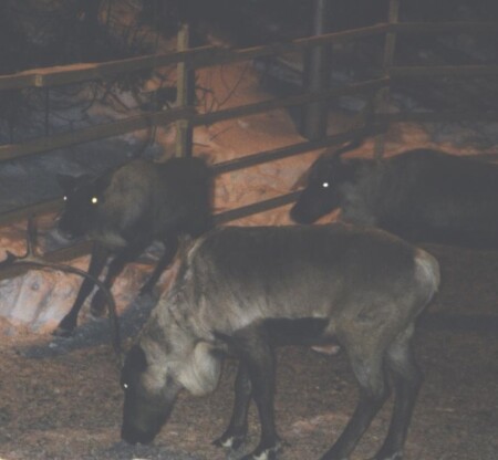 Как страшно!