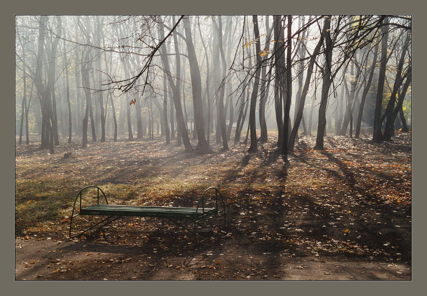утро в парке