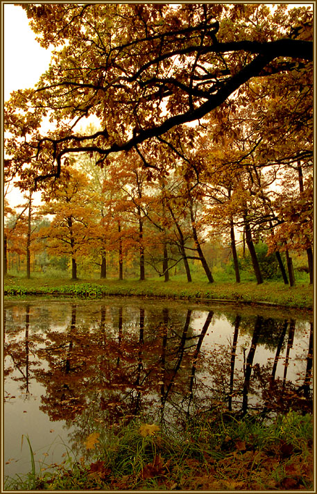 Осенняя грусть (Гатчина, Ленинградская обл.)