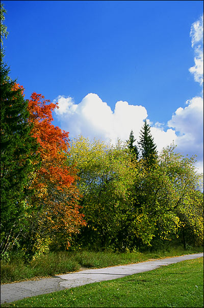Осень 