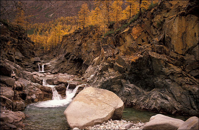Река молчания (1)
