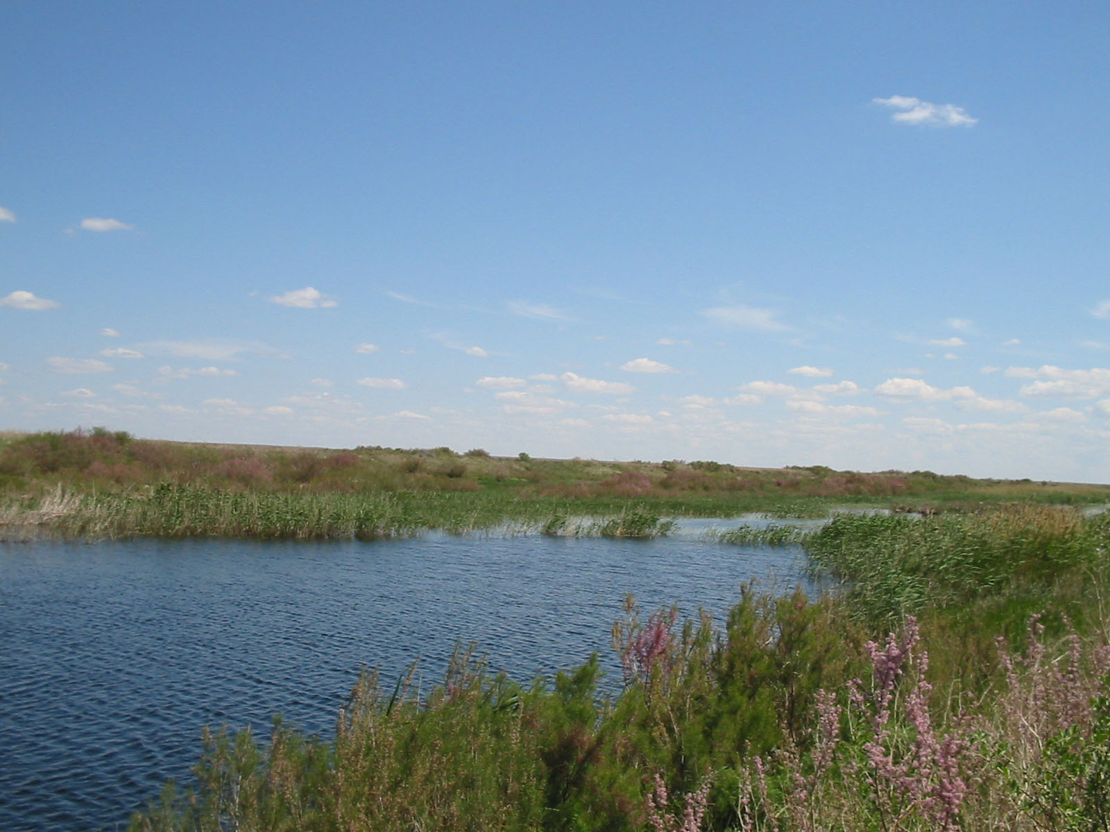 Река в степи.