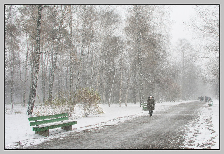 Первая метель зимы