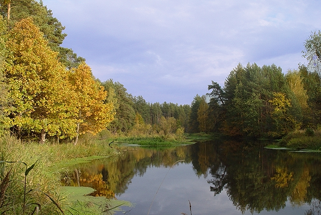 Осень, золотая конечно