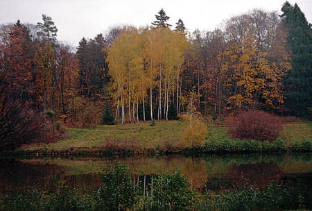 Осенний этюд-6