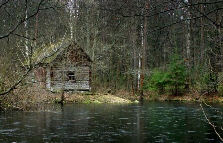 ...избушка, избушка... (сказочная серия)