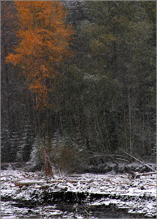 Снегопад