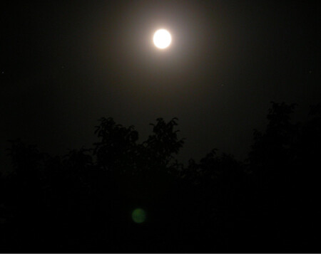 Ночь, луна...