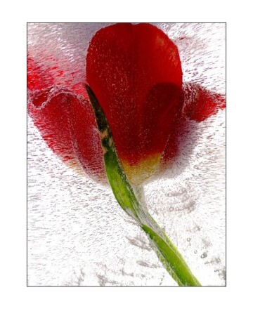 Холодное лето # 2