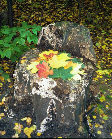 осенняя сказка