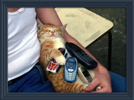 Каждому по мобиле или по четыре