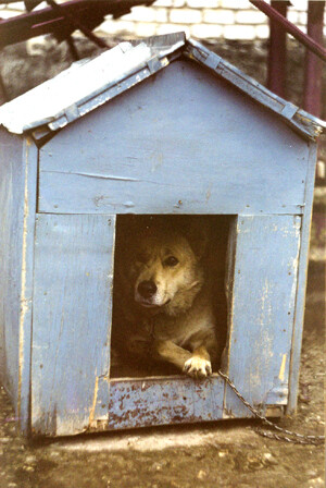 Это мой дом