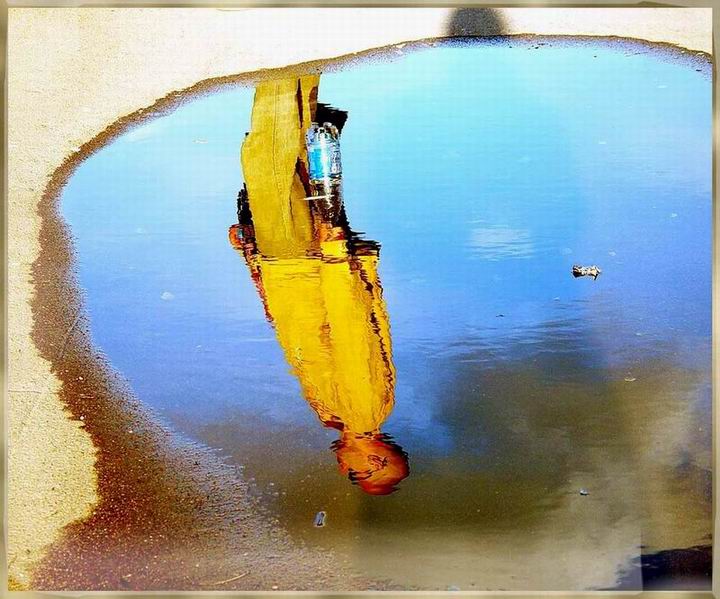 В луже