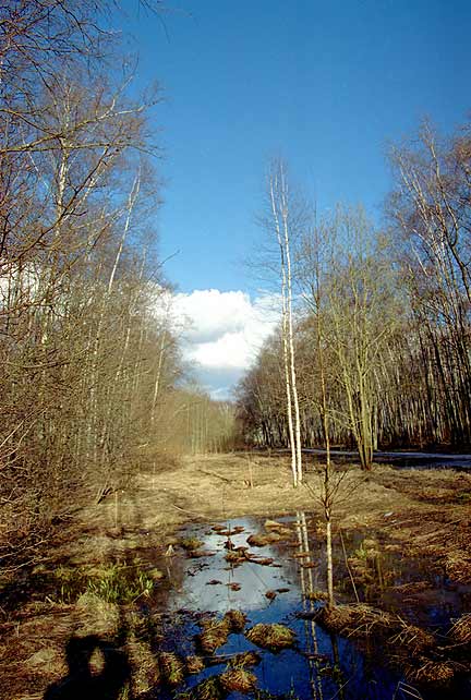 Весна, безусловно, наступит