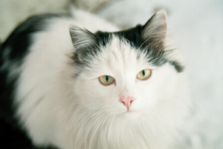 Само спокойствие...