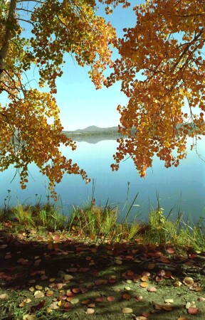 Осень(Триптих)