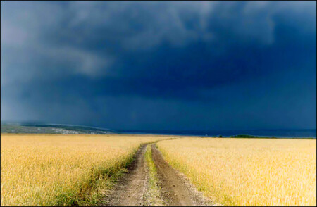 Дорога