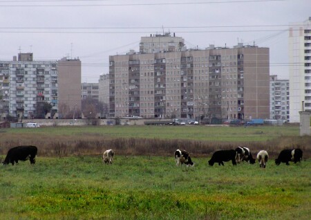 Деревня Москва