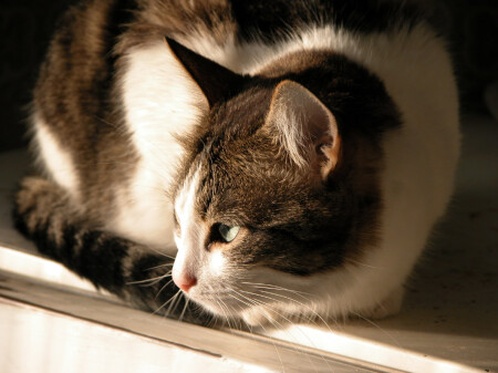 Первый кадр