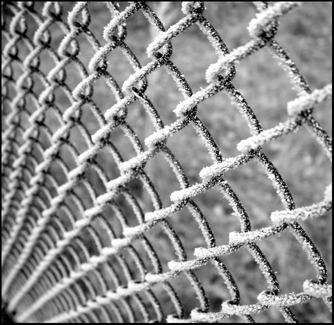 Fence with frost