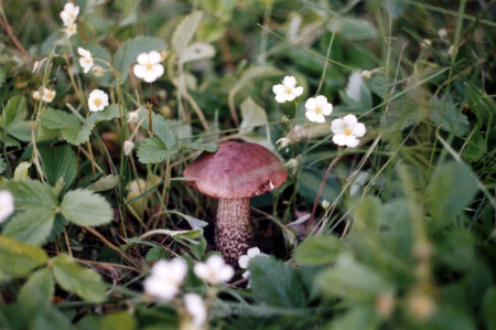Затерянный в Тамбовской области...