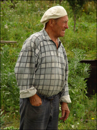 sadovnik