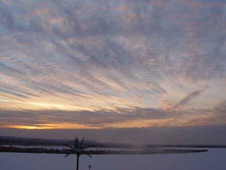 Не ту страну назвали Гондурасом