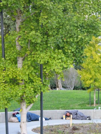 Бомжи прилетели