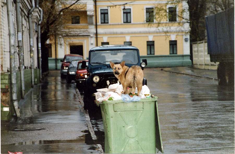 Ну и чего Уставились?