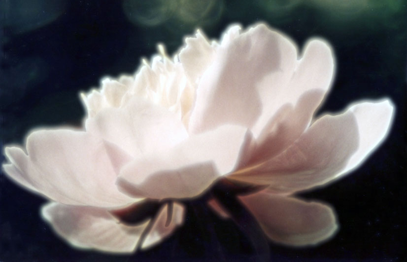 ***Soft***