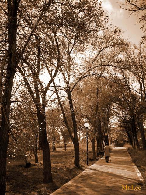 Park