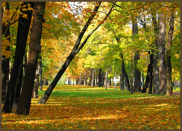 Дорога в осень