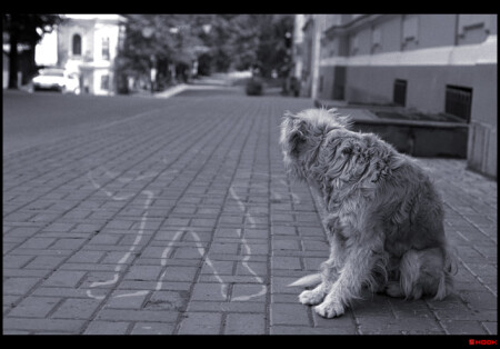 Он больше не придёт..