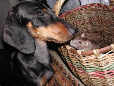 Давай познакомимся