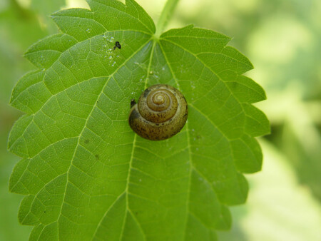 Тропики российской глубинки...