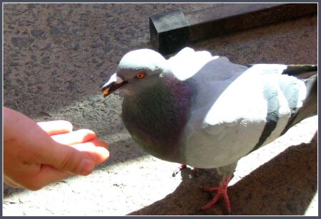 Любовь с первой крошки